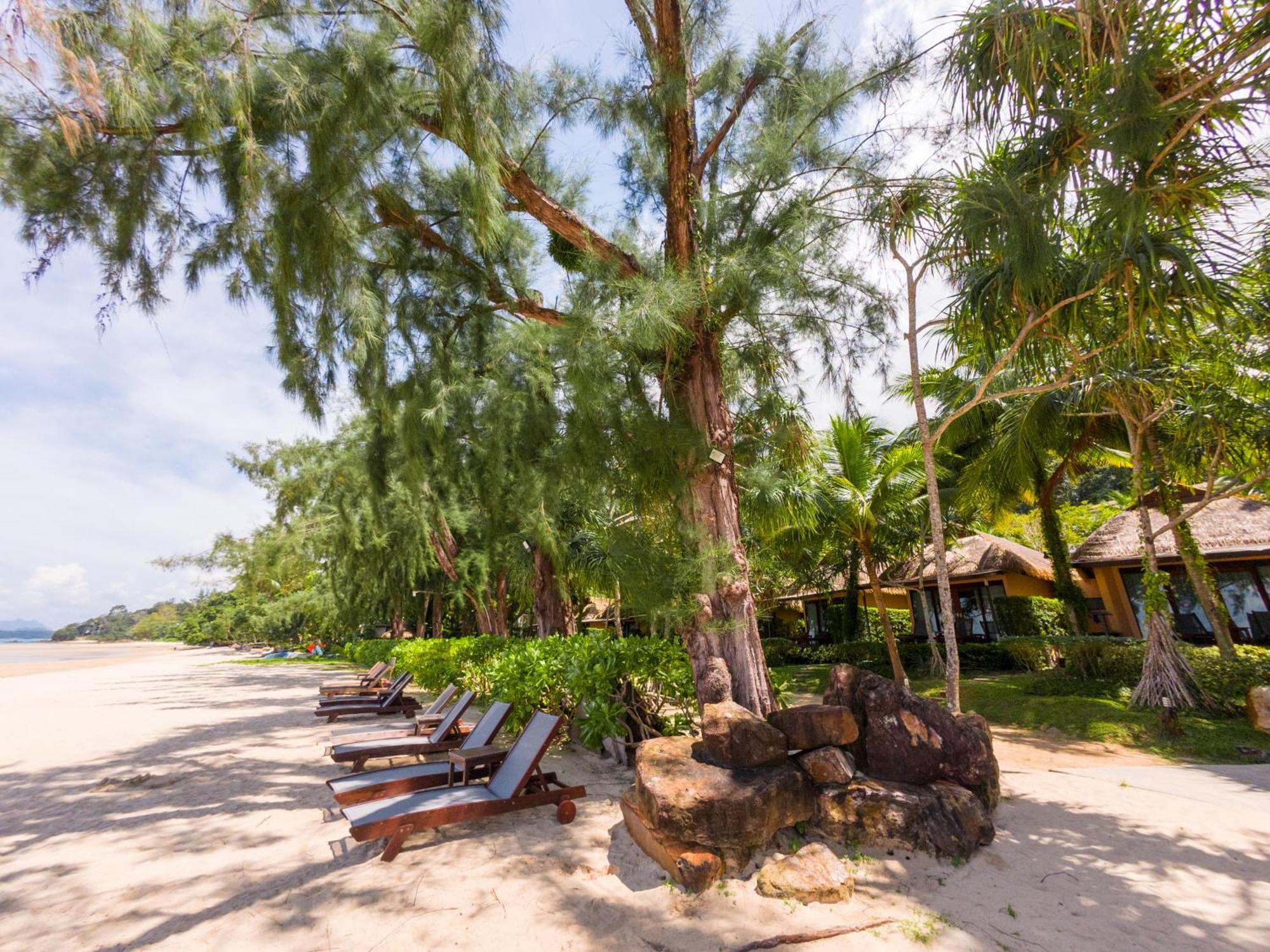 Deluxe Beach Front Cottage